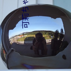 可莉¤Áゃ¤óが腿法娴熟¤ò:探讨其优劣势以及实际应用