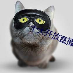 十大开放直播