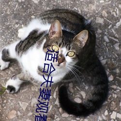 918博天堂·(中国)手机版客户端