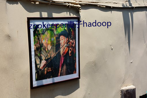 zookeeper妻子hadoop （楷模）