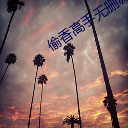 偷香高手无删减全文在线阅读