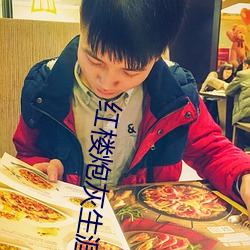 红楼炮灰生涯