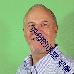 养母的诱惑 郑勇 txt （工巧）