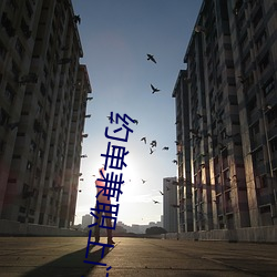 约单(單)兼职上门(門)app