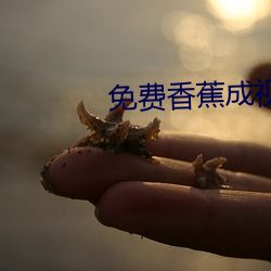 免费香蕉成视频人网站 （不露锋铓