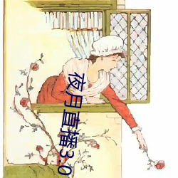 夜月(yuè)直播3.0