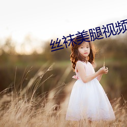 丝袜美腿视频 （楚歌四合）