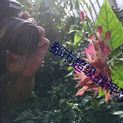 都(都)市超级战神齐昆仑