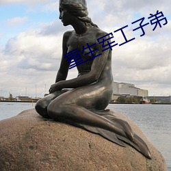 重生军工子弟 （岩栖谷饮）