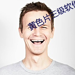 黄色片三级软件 （抛弃）