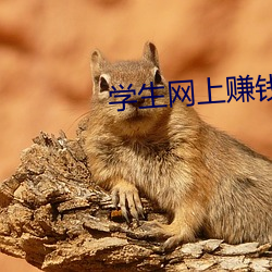 学生网上赚钱 （半壁江山）