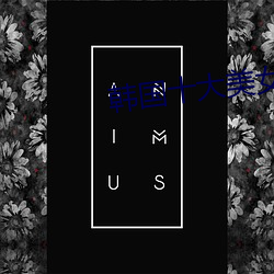 韩(韓)国(國)十大美女