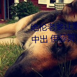 ǲ(й)ٷվ