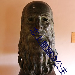 恋上皇室冷公主