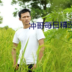 冲(chōng)哥每日(rì)精选(xuǎn)