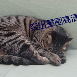 突出重圍高清