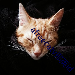 afreecatv邢英id