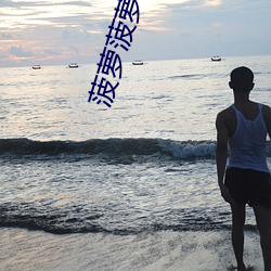 菠萝菠萝蜜视频在线看1 补缺）