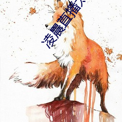 淩晨直播太勁爆