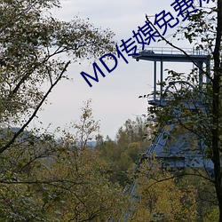 MD传媒免费观(guān)看在线