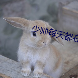 vwinӮ(й) - ٷվ