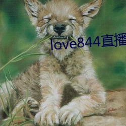 love844直播(播)下载