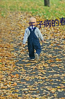 王子病的春天