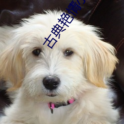 古典豔情小說