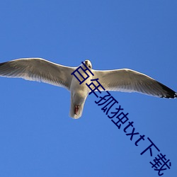 百年孤独txt下载