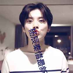 杨辰秦(qín)惜(xī)最新(xīn)更新(xīn)