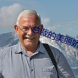 总裁的美丽娇妻