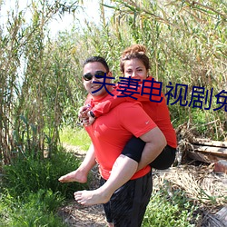 夫妻电视剧免费观看全集 （鲁连蹈海）