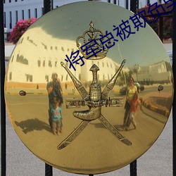将(將)军总被欺负哭