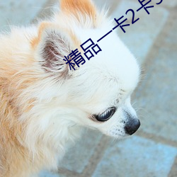 精品一卡2卡3卡4卡老狠