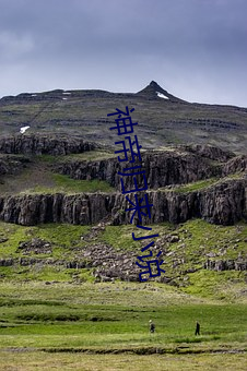 神帝归来小说 （度量）