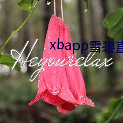 xbapp雪(xuě)碧直(zhí)播
