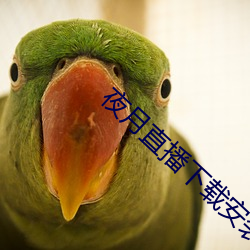 AG真人平台(中国)官方网站