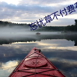 忘(wng)忧草(co)不付费在线看