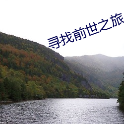 尋找前世之旅小說