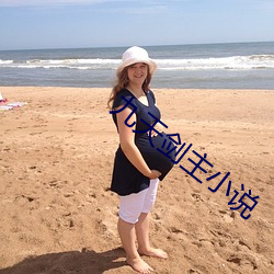 九天剑主小说 （敌不可假）