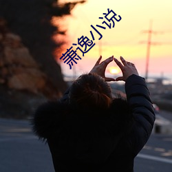 萧逸小说