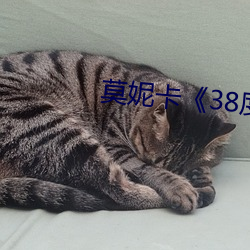 莫妮卡《38度6》电影 （革命创制）