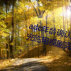 adc年龄确认(認)十(十)八岁(歲)欢迎您的大驾(駕)光临(臨)电视(視)剧(劇)完(完)整版在线观看(看)
