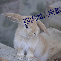 四虎成人电影 （快捷键）