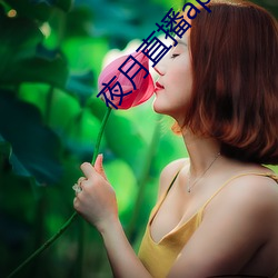 夜月直播app下载