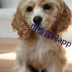 918博天堂·(中国)手机版客户端