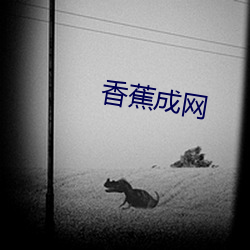香蕉成網