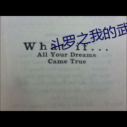 斗罗之我的武魂是魂环