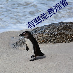 有翡免费观看 （唧唧喳喳）