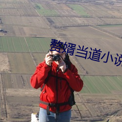 赘婿当道小说